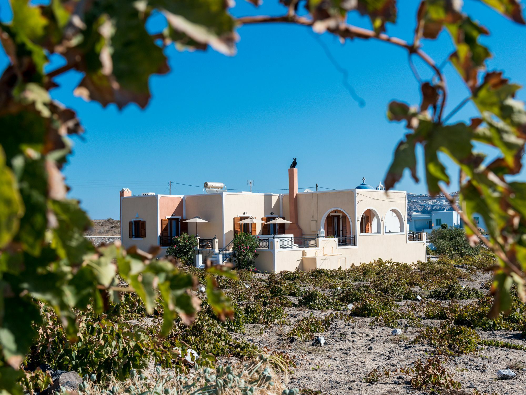 Vineyard Exclusive Suites Akrotírion Esterno foto